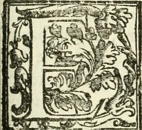 An illustration from La fortificatione, guardia, difesa, et espugnatione delle fortezze esperimentata in diuerse guerre, 1624, leaf 146