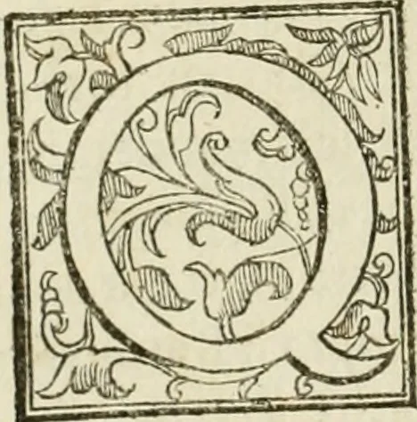 An illustration from La fortificatione, guardia, difesa, et espugnatione delle fortezze esperimentata in diuerse guerre, 1624, leaf 167