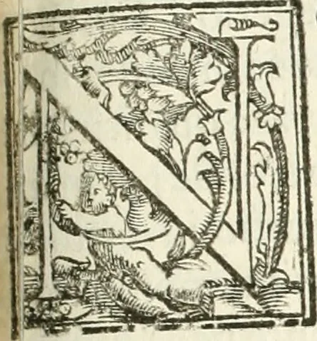 An illustration from La fortificatione, guardia, difesa, et espugnatione delle fortezze esperimentata in diuerse guerre, 1624, leaf 174