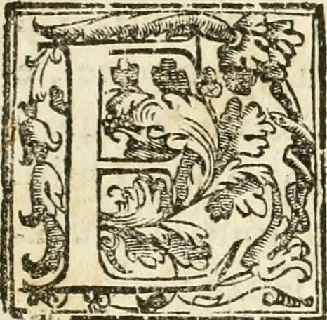 An illustration from La fortificatione, guardia, difesa, et espugnatione delle fortezze esperimentata in diuerse guerre, 1624, leaf 20