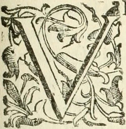 An illustration from La fortificatione, guardia, difesa, et espugnatione delle fortezze esperimentata in diuerse guerre, 1624, leaf 204