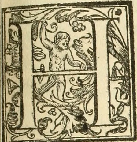 An illustration from La fortificatione, guardia, difesa, et espugnatione delle fortezze esperimentata in diuerse guerre, 1624, leaf 210