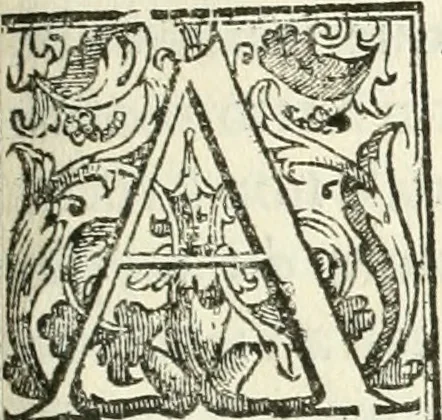 An illustration from La fortificatione, guardia, difesa, et espugnatione delle fortezze esperimentata in diuerse guerre, 1624, leaf 234
