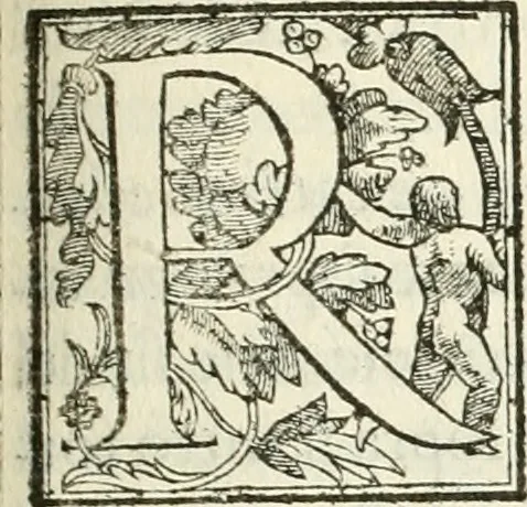 An illustration from La fortificatione, guardia, difesa, et espugnatione delle fortezze esperimentata in diuerse guerre, 1624, leaf 238