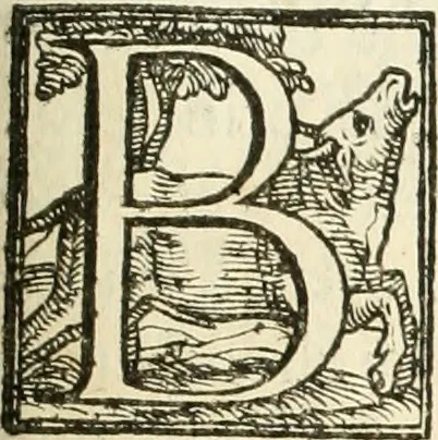 An illustration from La fortificatione, guardia, difesa, et espugnatione delle fortezze esperimentata in diuerse guerre, 1624, leaf 242