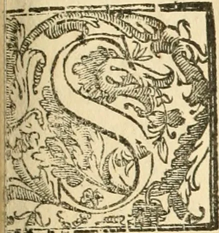 An illustration from La fortificatione, guardia, difesa, et espugnatione delle fortezze esperimentata in diuerse guerre, 1624, leaf 246