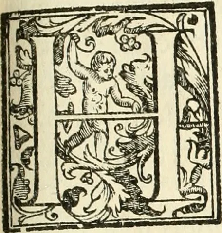 An illustration from La fortificatione, guardia, difesa, et espugnatione delle fortezze esperimentata in diuerse guerre, 1624, leaf 264