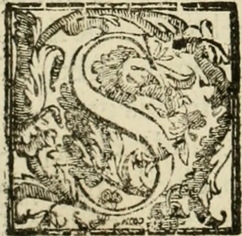 An illustration from La fortificatione, guardia, difesa, et espugnatione delle fortezze esperimentata in diuerse guerre, 1624, leaf 269