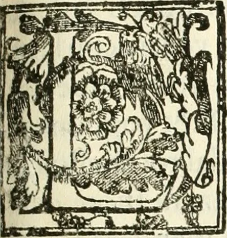 An illustration from La fortificatione, guardia, difesa, et espugnatione delle fortezze esperimentata in diuerse guerre, 1624, leaf 288