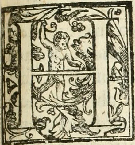 An illustration from La fortificatione, guardia, difesa, et espugnatione delle fortezze esperimentata in diuerse guerre, 1624, leaf 294
