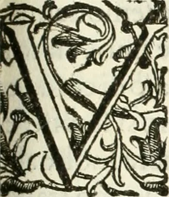 An illustration from La fortificatione, guardia, difesa, et espugnatione delle fortezze esperimentata in diuerse guerre, 1624, leaf 300