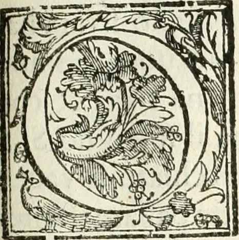 An illustration from La fortificatione, guardia, difesa, et espugnatione delle fortezze esperimentata in diuerse guerre, 1624, leaf 306