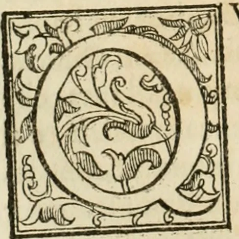 An illustration from La fortificatione, guardia, difesa, et espugnatione delle fortezze esperimentata in diuerse guerre, 1624, leaf 31