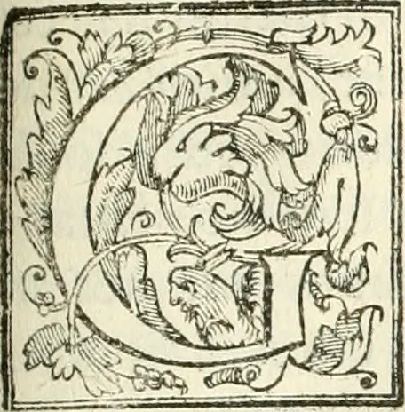 An illustration from La fortificatione, guardia, difesa, et espugnatione delle fortezze esperimentata in diuerse guerre, 1624, leaf 310