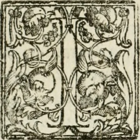 An illustration from La fortificatione, guardia, difesa, et espugnatione delle fortezze esperimentata in diuerse guerre, 1624, leaf 313