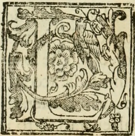 An illustration from La fortificatione, guardia, difesa, et espugnatione delle fortezze esperimentata in diuerse guerre, 1624, leaf 319