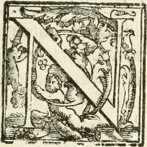 An illustration from La fortificatione, guardia, difesa, et espugnatione delle fortezze esperimentata in diuerse guerre, 1624, leaf 326