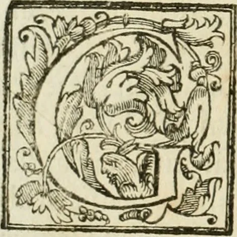 An illustration from La fortificatione, guardia, difesa, et espugnatione delle fortezze esperimentata in diuerse guerre, 1624, leaf 329