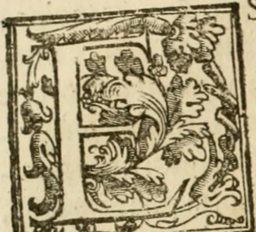 An illustration from La fortificatione, guardia, difesa, et espugnatione delle fortezze esperimentata in diuerse guerre, 1624, leaf 33