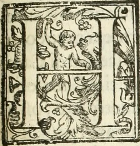 An illustration from La fortificatione, guardia, difesa, et espugnatione delle fortezze esperimentata in diuerse guerre, 1624, leaf 334