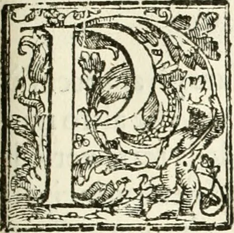 An illustration from La fortificatione, guardia, difesa, et espugnatione delle fortezze esperimentata in diuerse guerre, 1624, leaf 340
