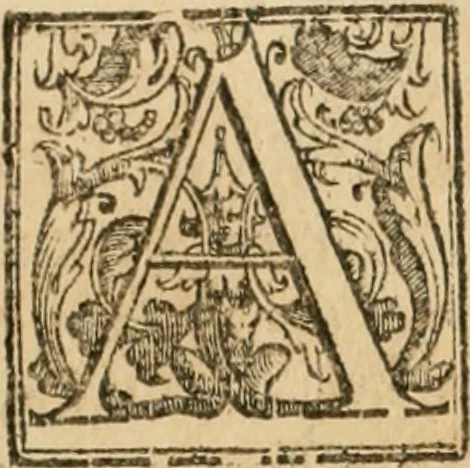 An illustration from La fortificatione, guardia, difesa, et espugnatione delle fortezze esperimentata in diuerse guerre, 1624, leaf 35
