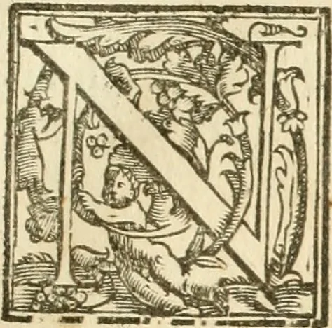 An illustration from La fortificatione, guardia, difesa, et espugnatione delle fortezze esperimentata in diuerse guerre, 1624, leaf 36