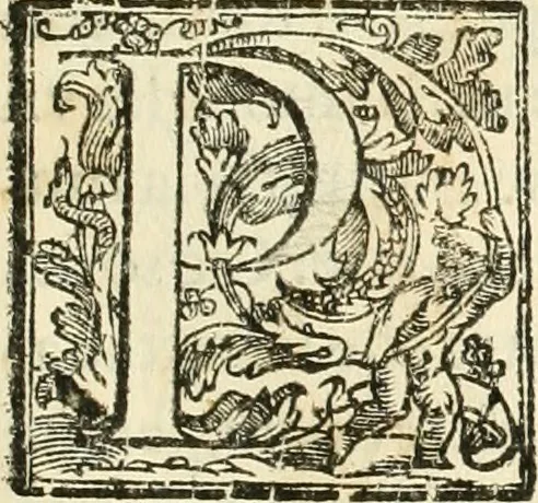 An illustration from La fortificatione, guardia, difesa, et espugnatione delle fortezze esperimentata in diuerse guerre, 1624, leaf 366