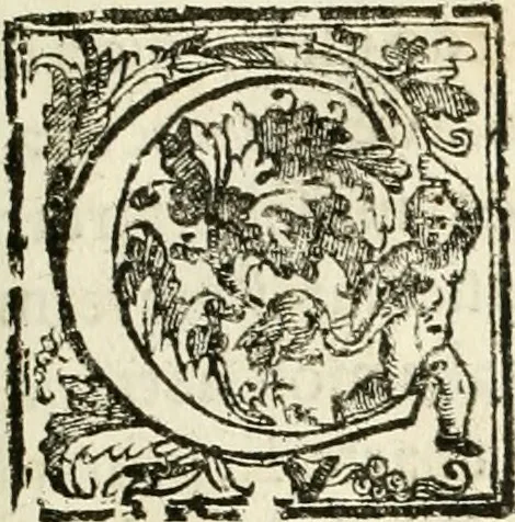 An illustration from La fortificatione, guardia, difesa, et espugnatione delle fortezze esperimentata in diuerse guerre, 1624, leaf 386