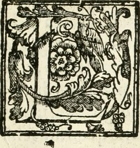 An illustration from La fortificatione, guardia, difesa, et espugnatione delle fortezze esperimentata in diuerse guerre, 1624, leaf 390