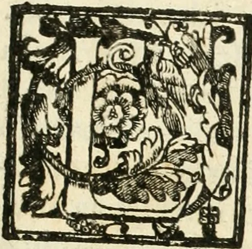An illustration from La fortificatione, guardia, difesa, et espugnatione delle fortezze esperimentata in diuerse guerre, 1624, leaf 402
