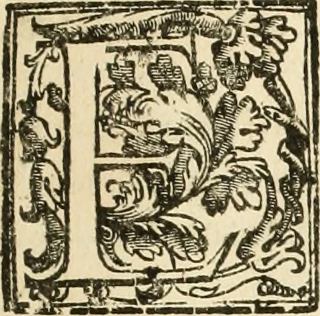 An illustration from La fortificatione, guardia, difesa, et espugnatione delle fortezze esperimentata in diuerse guerre, 1624, leaf 408