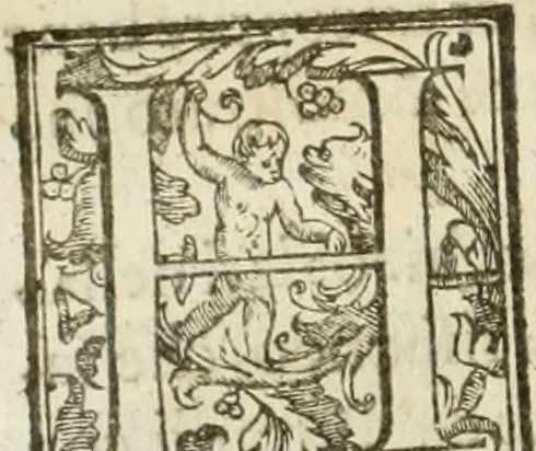An illustration from La fortificatione, guardia, difesa, et espugnatione delle fortezze esperimentata in diuerse guerre, 1624, leaf 51