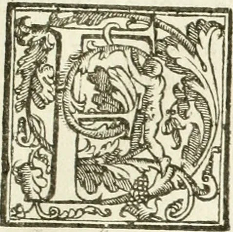An illustration from La fortificatione, guardia, difesa, et espugnatione delle fortezze esperimentata in diuerse guerre, 1624, leaf 60