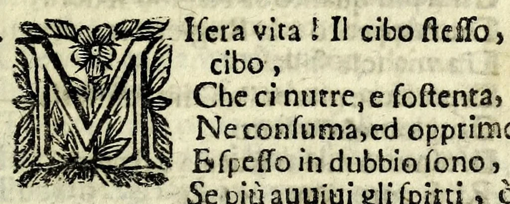 An illustration from La forza d'amore : opera scenica, 1662, leaf 17