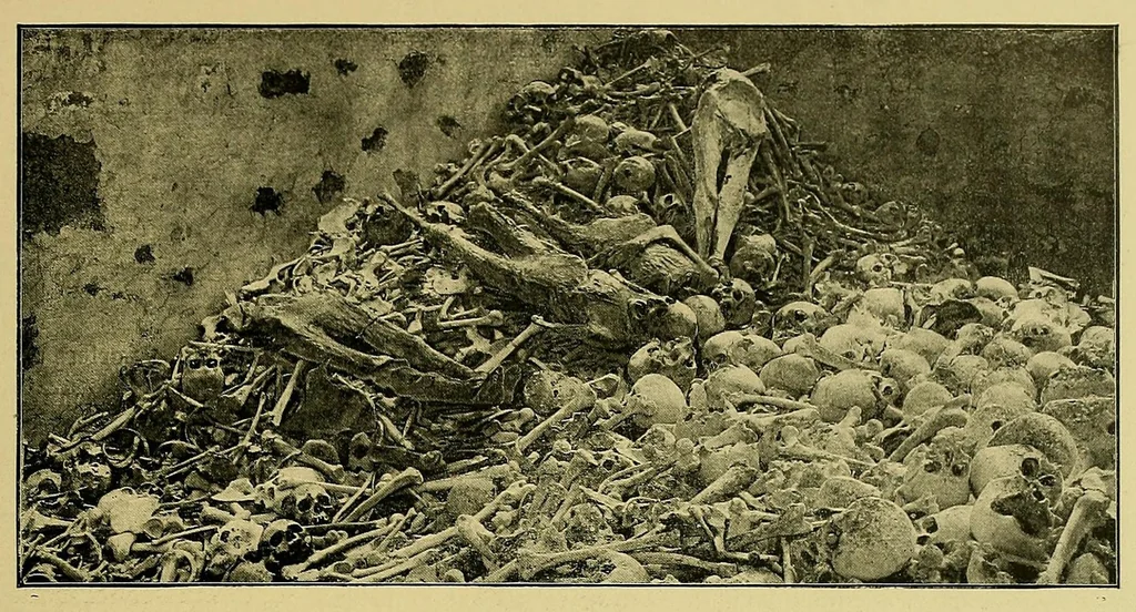 An illustration from La France au Dahomey, 1895, leaf 113