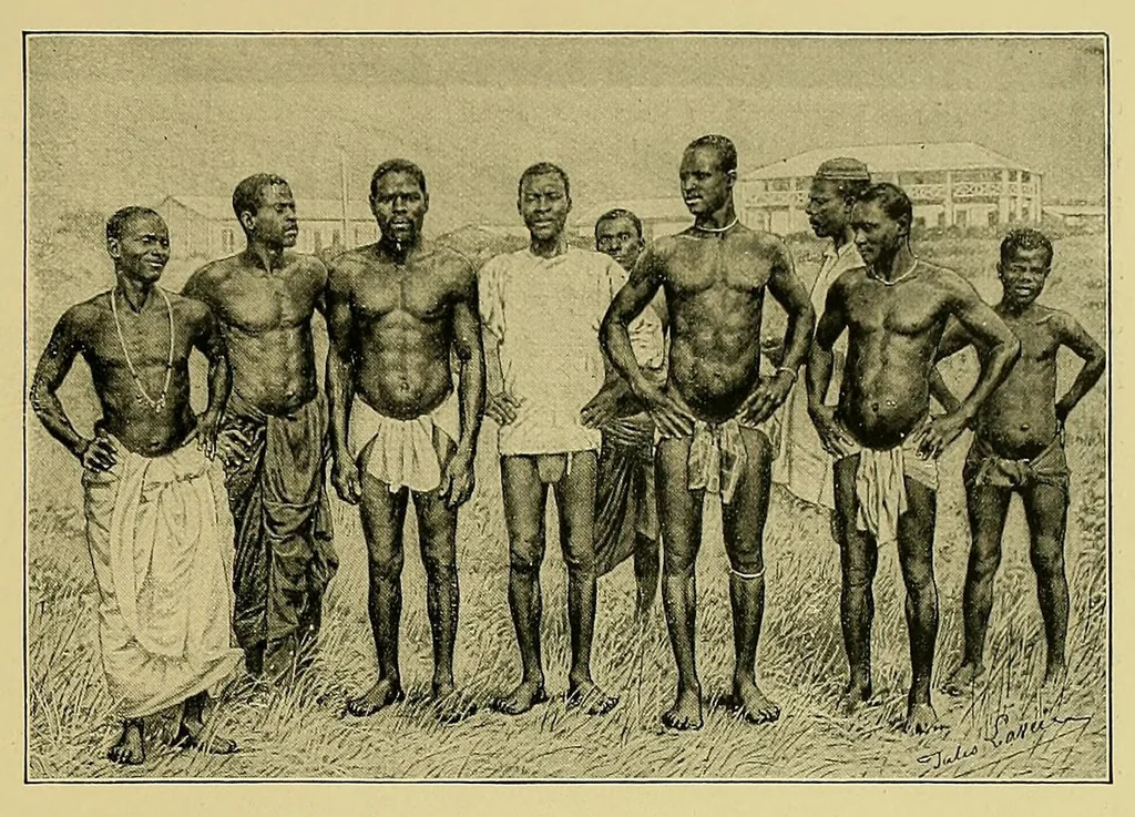 An illustration from La France au Dahomey, 1895, leaf 179