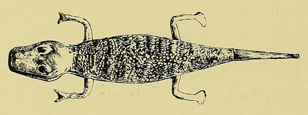 An illustration from La France au Dahomey, 1895, leaf 228
