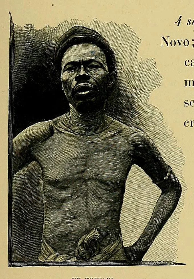 An illustration from La France au Dahomey, 1895, leaf 69