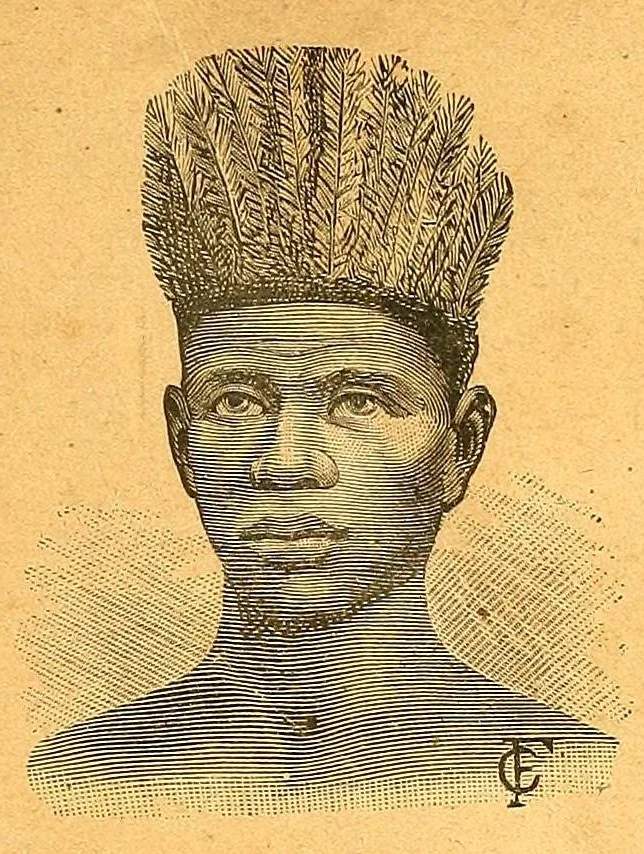 An illustration from La France au pays noir, 1893, leaf 1