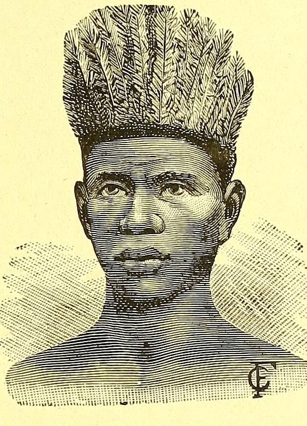 An illustration from La France au pays noir, 1893, leaf 111