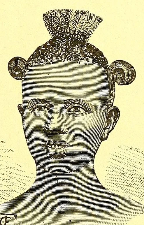 An illustration from La France au pays noir, 1893, leaf 111