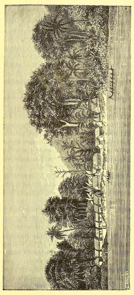 An illustration from La France au pays noir, 1893, leaf 159