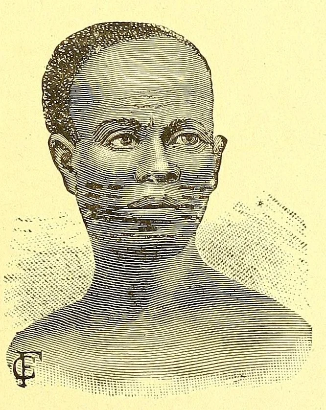 An illustration from La France au pays noir, 1893, leaf 239