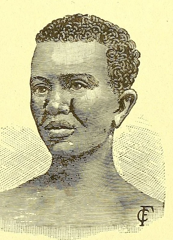An illustration from La France au pays noir, 1893, leaf 239