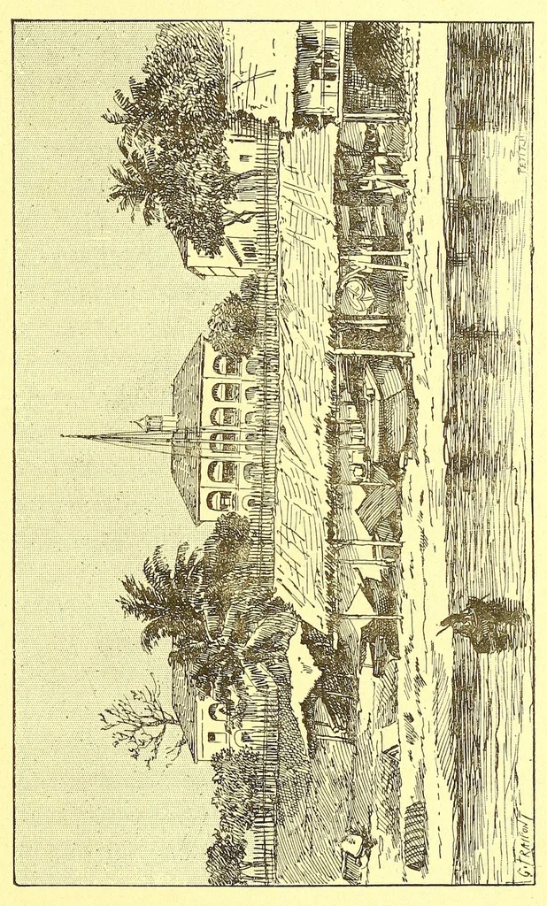 An illustration from La France au pays noir, 1893, leaf 255