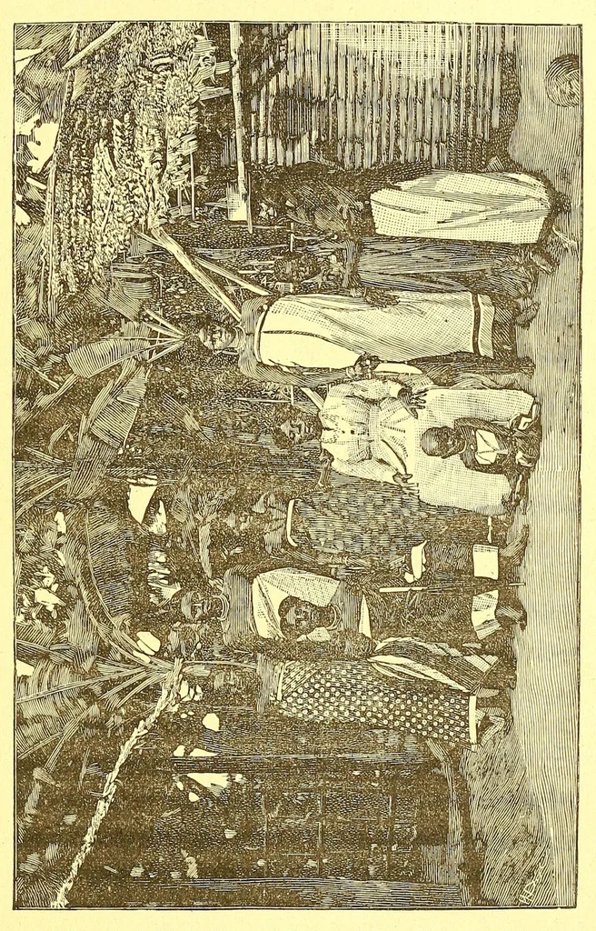 An illustration from La France au pays noir, 1893, leaf 271
