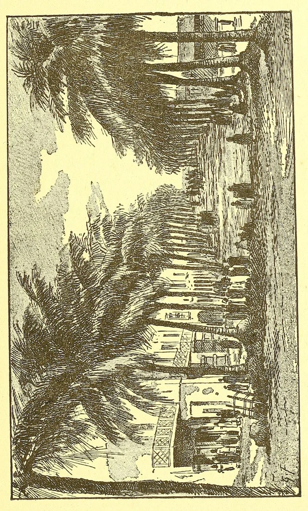 An illustration from La France au pays noir, 1893, leaf 31