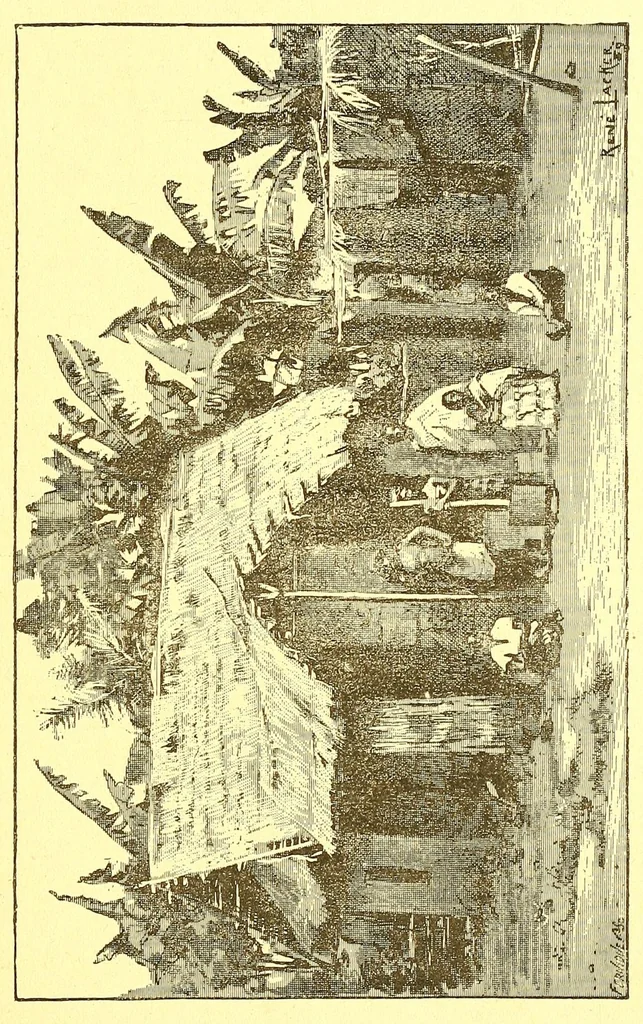 An illustration from La France au pays noir, 1893, leaf 319