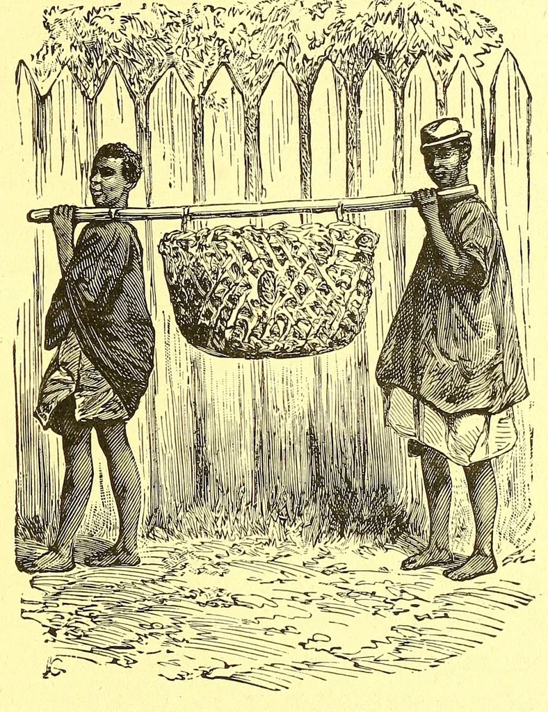 An illustration from La France au pays noir, 1893, leaf 351